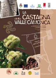 La Castagna della Vallecamonica, copertina