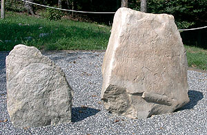Parco Archeologico Asinino-Anvòia