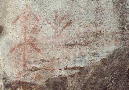 A particular of the digital tracing of the Cavour rock paintings.