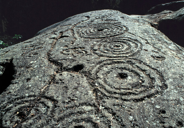 Carschenna (Graubunden – CH), concentric circles prehistoric composition (picture A. Arcà)