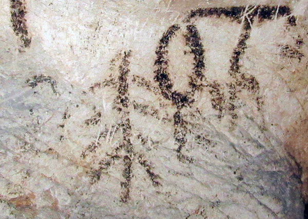 25. Magura Cave, an overlapped branch-like figure (AA)