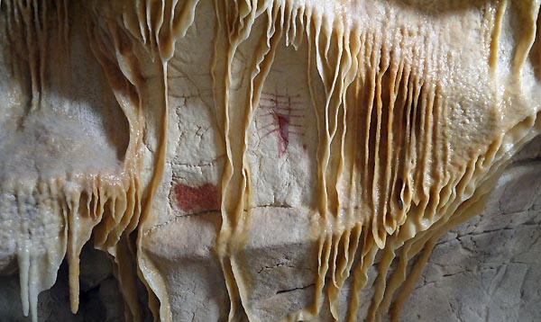Caverne-du-Pont-dArc-Le-panneau-des-insectes-recouvert-de-calcite-©-SYCPA1.jpg