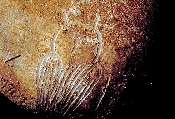 Chauvet-Pont d'Arc cave, a finger-sketched owl figure (photo DRAC, Rhône-Alpes, Culture and Communication Ministry)