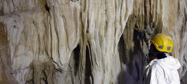 Le-décor-de-la-caverne-réalisé-par-AAB-Cofeix-Freyssinet-©-SYCPA-11.jpg