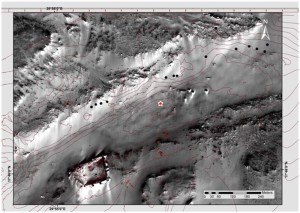 Fig. 3: Distribution of travertine accretions (round marks) near the study site (star-mark). The overlaid lines mark the 5m-Isohypses. (Satellite image: WorldView-1, 2007, DigitalGlobe, Inc.)