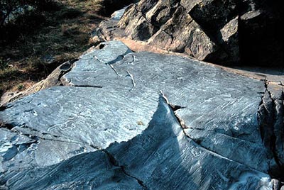 Valcamonica rock art records